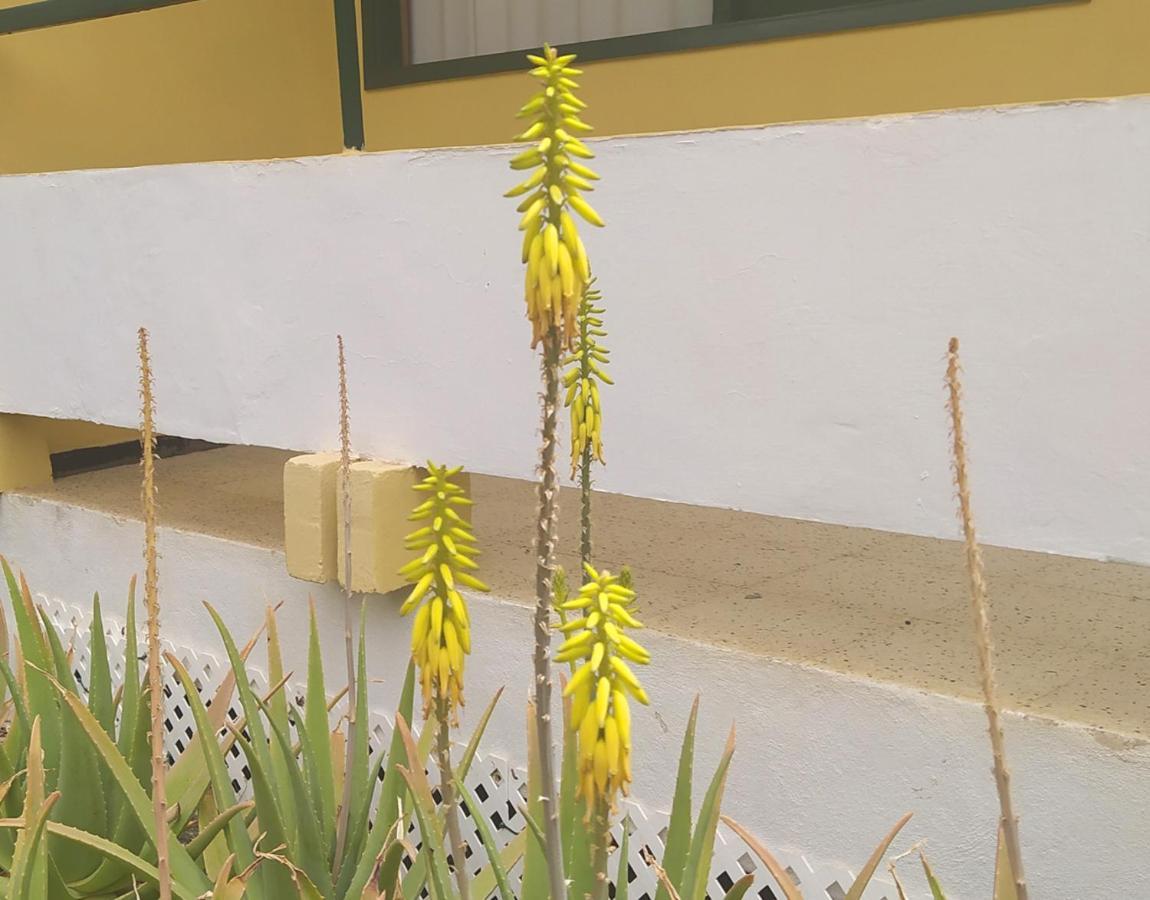 Caroni Apartment Playa del Ingles  Ngoại thất bức ảnh